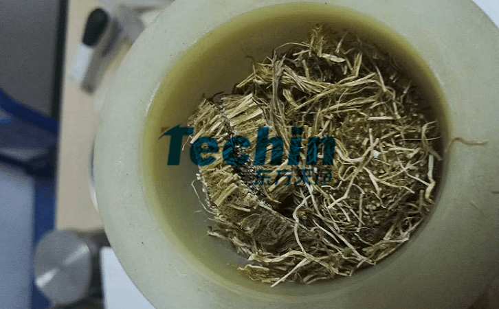 水稻根91免费污在线观看前