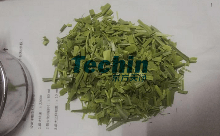 水稻葉子91免费污在线观看前