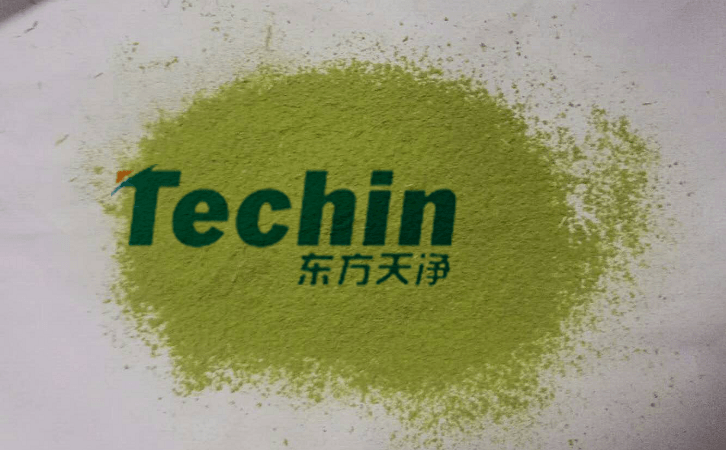 91免费污在线观看後的植物葉片